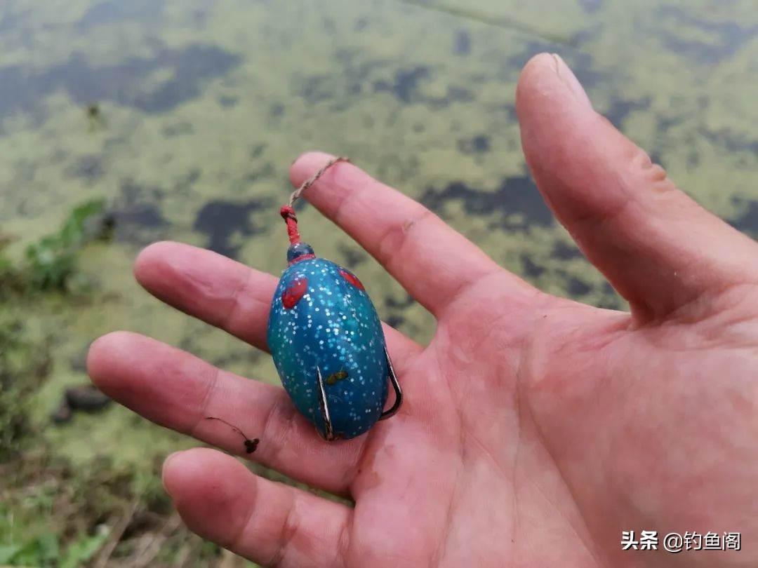 打黑鱼避免脱钩的方法,雷蛙钓黑鱼为什么易脱钩