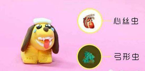 狗的大便有点稀怎么办,狗大便不成形褐色