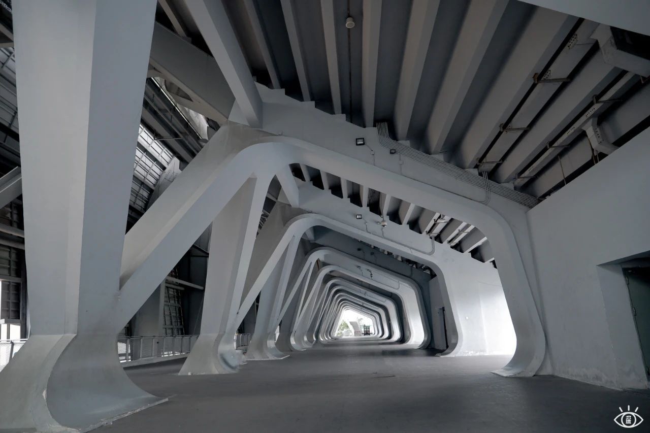 深圳65岁老人免费游景点,深圳必去十大免费网红景点