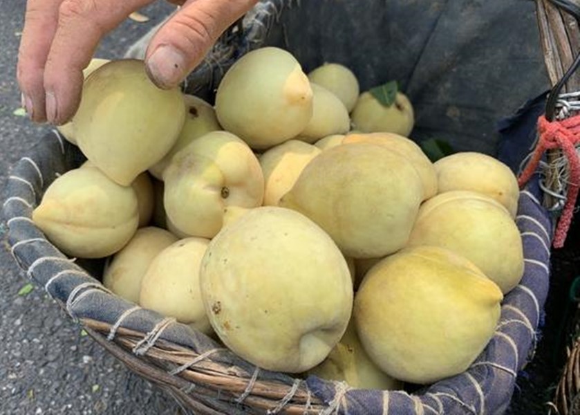 鍠滄鍚冩瀛愮殑浜烘敞鎰忓暒,鐖卞悆妗冨瓙鐨勮鐣欐剰