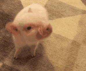 缅甸人护照签证过期了五年怎么办,赴美签证有效但护照过期了怎么办