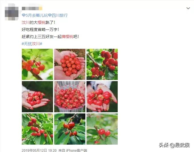 温度升高之前采摘樱桃,成都周边可摘樱桃的古镇