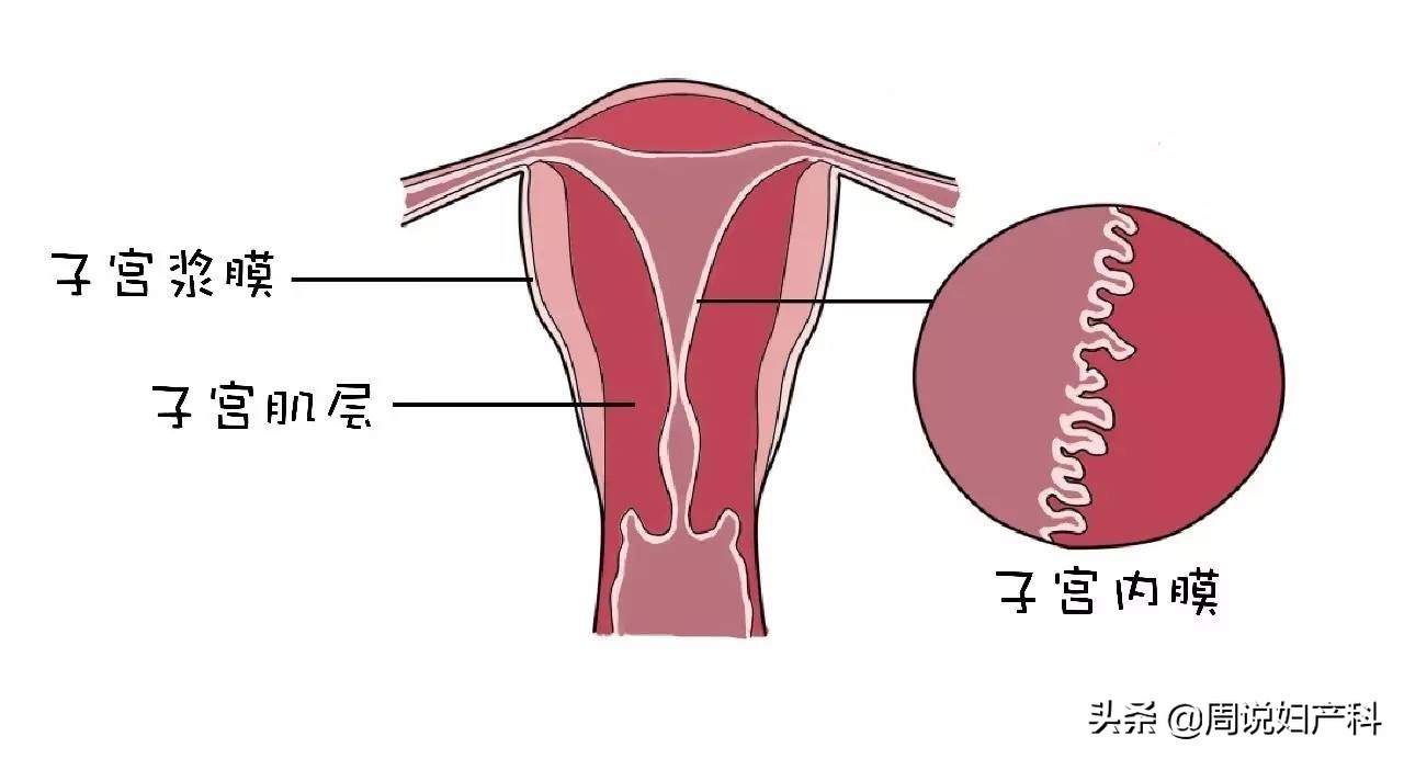 月经没来小肚子突出是怎么回事,小肚子隐隐疼不来月经是怎么回事