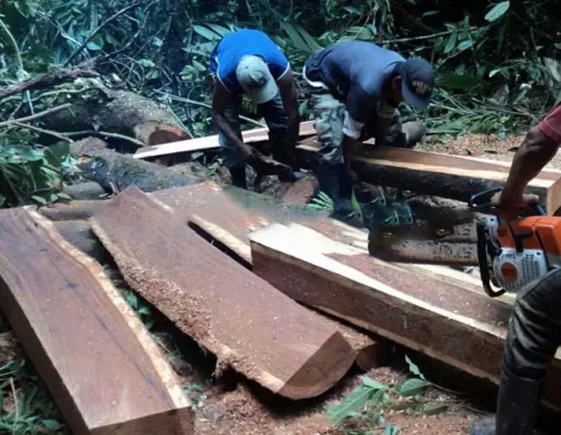 红木家具木材品种进口价格及图片,目前红木家具木材价格