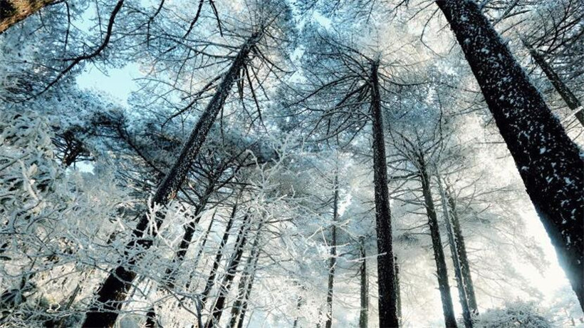 柔力球放飞梦想完整版,柔力球带上梦想一路飞翔