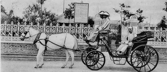 他富可敌国免费小说,他富可敌国全文免费