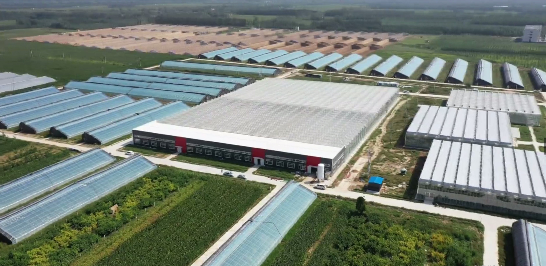 山东的八大冷知识,15个有趣的山东冷知识