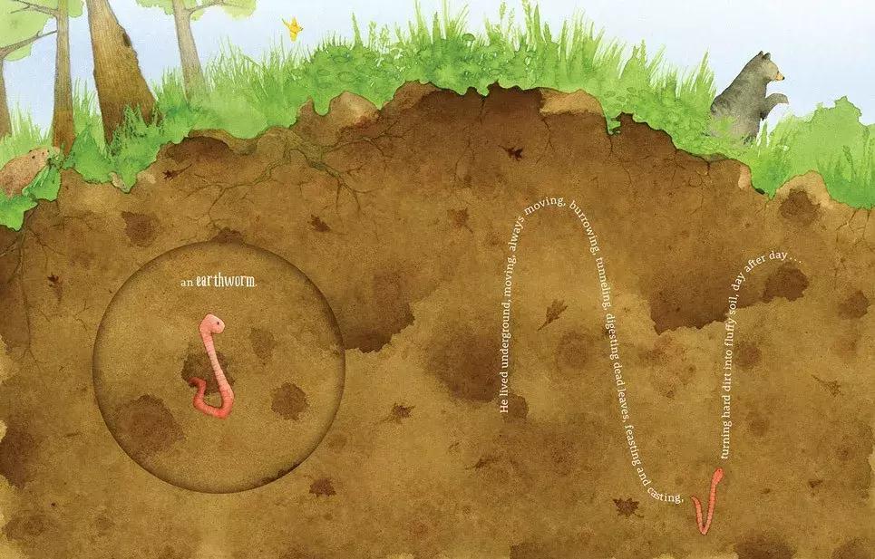 2019新绘本,种草的英文绘本40本