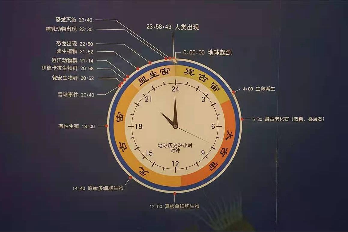 北疆博物馆历史,北疆博物馆最早建立的时间