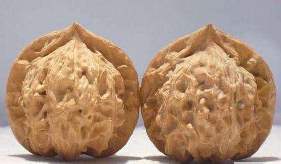 文玩核桃的5大问题,连文玩核桃的这7个误区都不知道