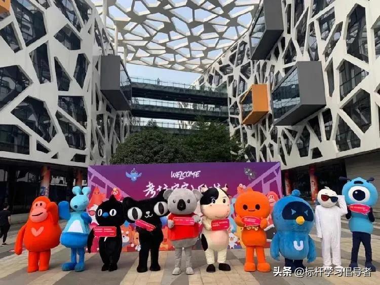 阿里20亿收购考拉,考拉被阿里收购