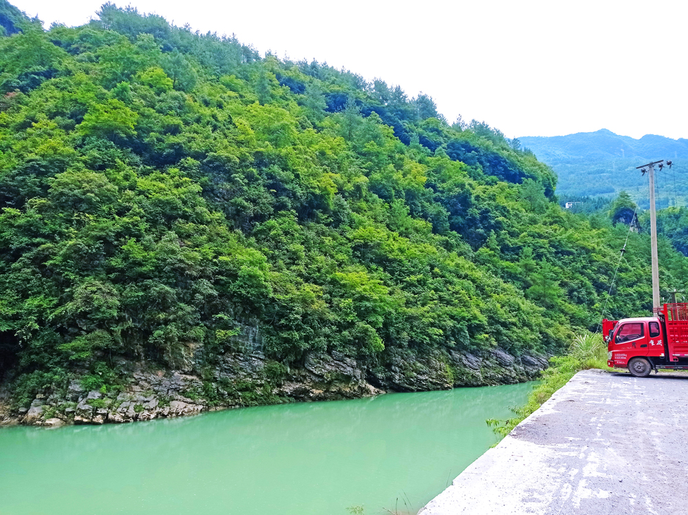 重庆开县大进镇地图,重庆市开州区大进镇全景