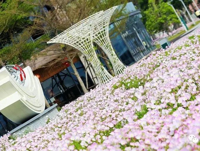 福州一日游不要钱最佳景点,福州周边短途一日游攻略的文章