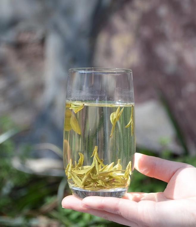 明前特级龙井绿茶,西湖龙井是绿茶吗还是红茶