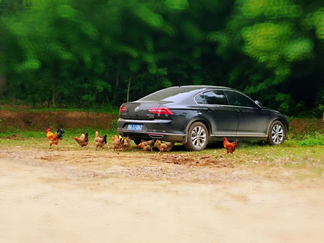 地球上流浪图片,地球流浪之前去哪里