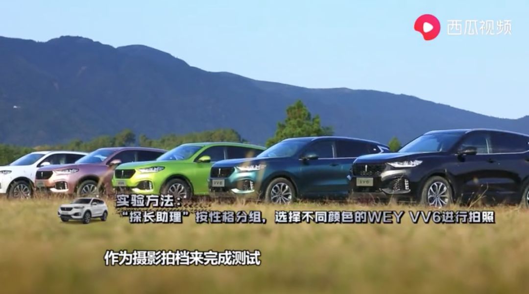 西瓜视频科学探究的七个环节,西瓜视频科技活动