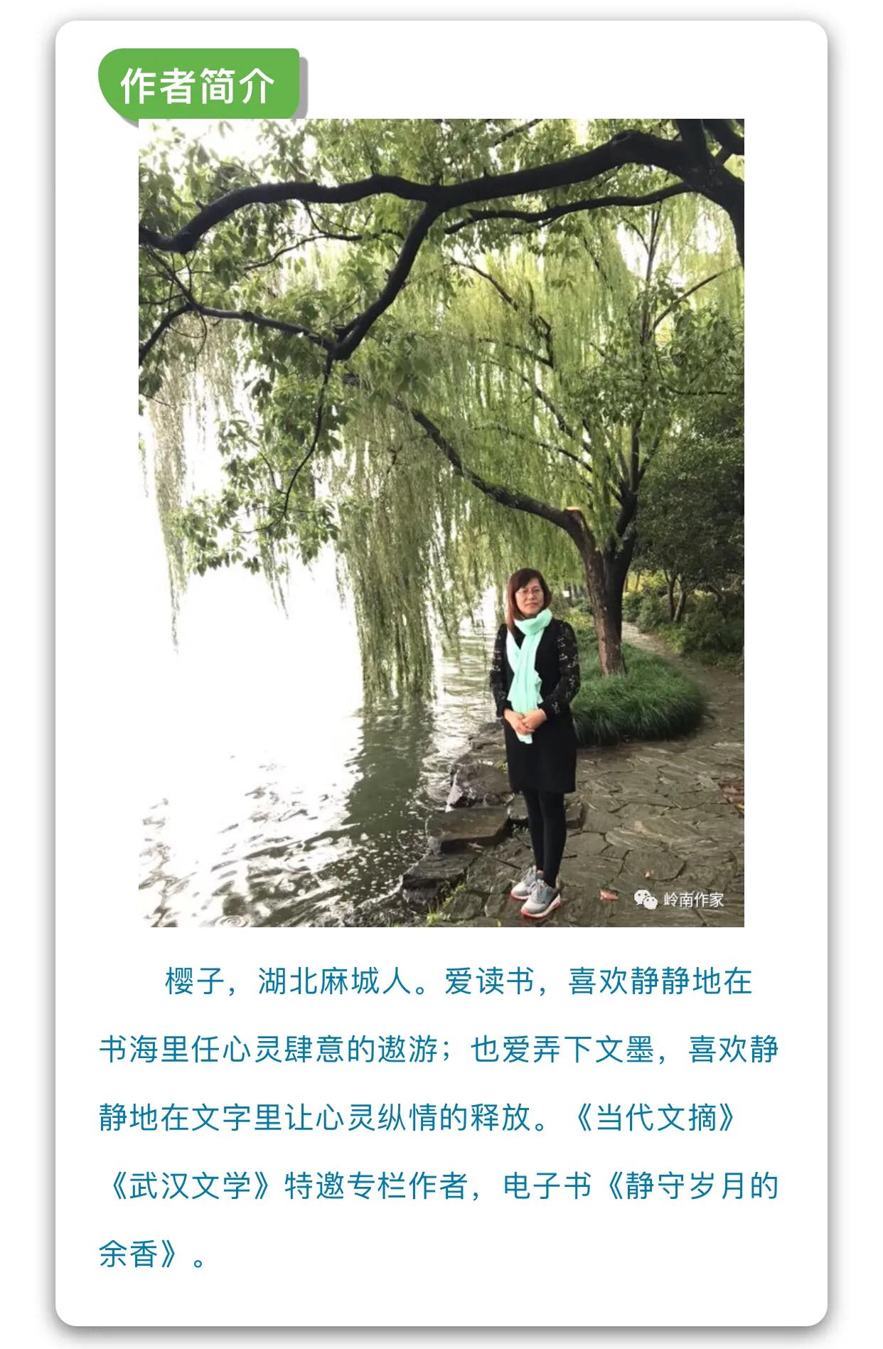 白果云雾山,麻城白果云雾山景区