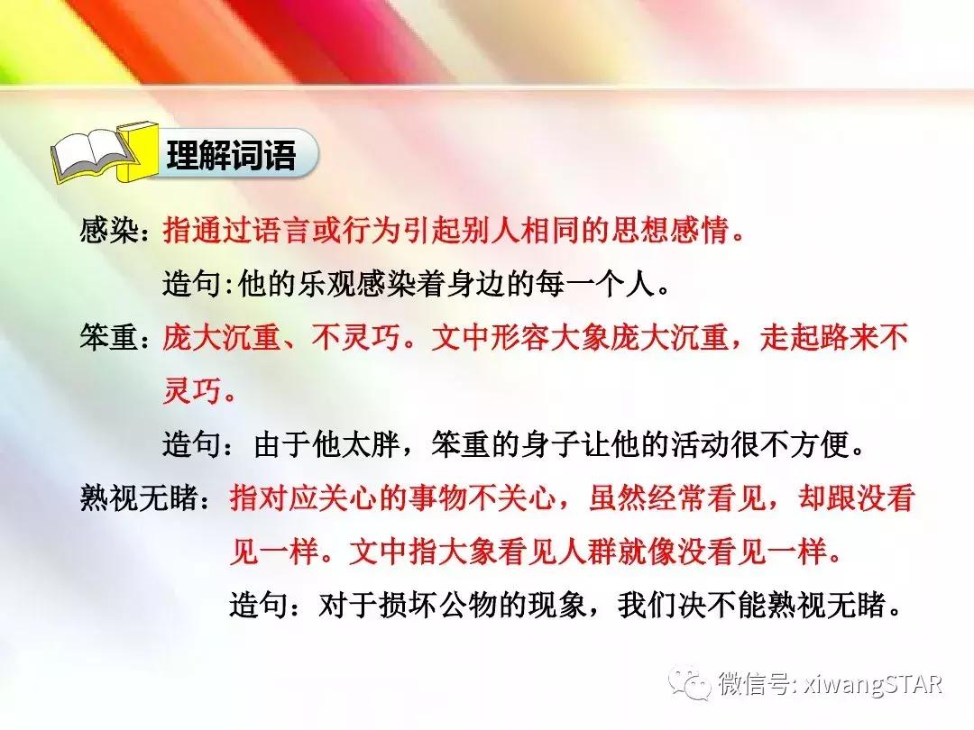 与象共舞语文五年级下册老版,五年级下册与象共舞阅读