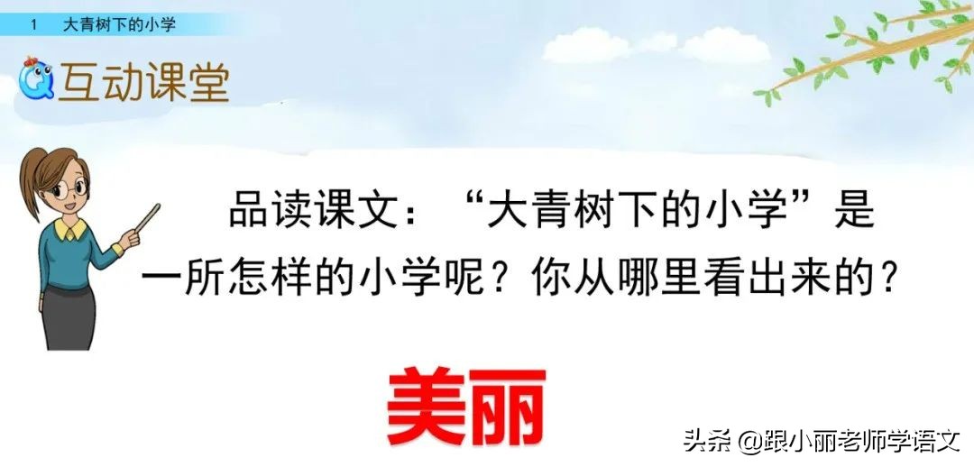 大青树下的小学重点知识点,大青树下的小学重点知识梳理