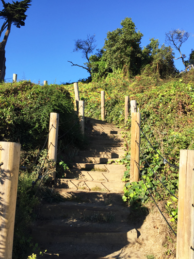 美国旧金山市规划,美国旧金山公园