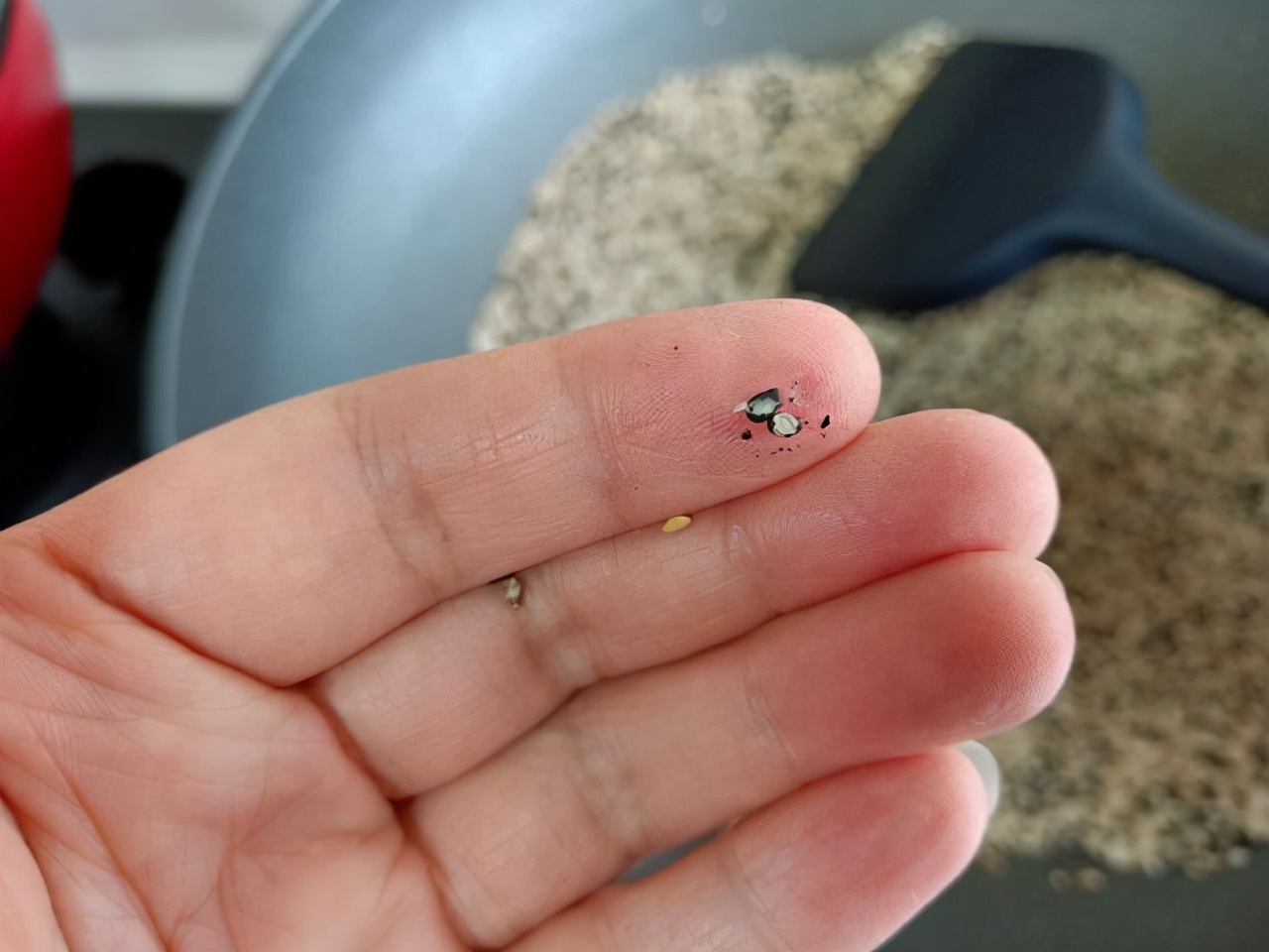 教你一招自制芝麻酱,想喝黑芝麻糊自己在家就可以做