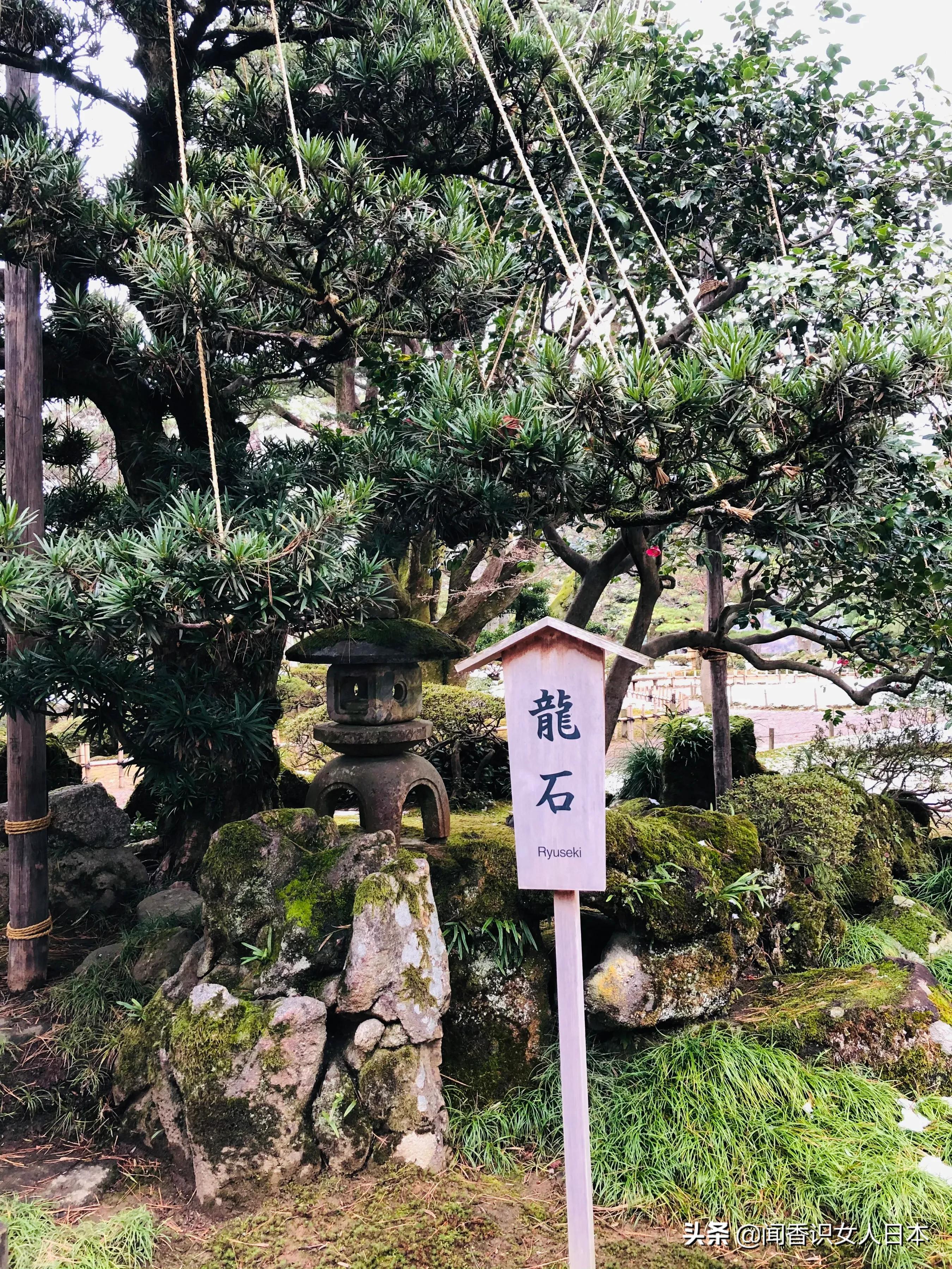 日本三大园林,日本三大名园之一