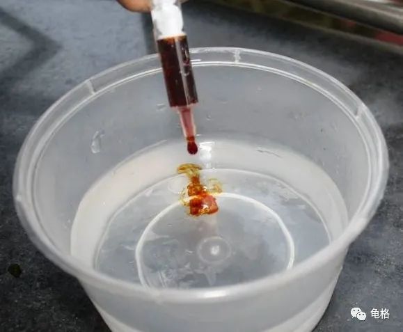 乌龟腐皮怎么用聚维酮碘药浴,聚维酮碘治疗乌龟腐皮需要泡多久
