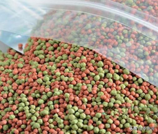 养鱼别再浪费钱了，买观赏鱼饲料的省钱技巧，养鱼不烧钱