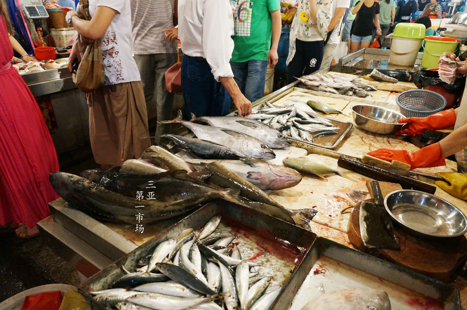 海南租车别克7座每天价格,海南自驾租车最便宜