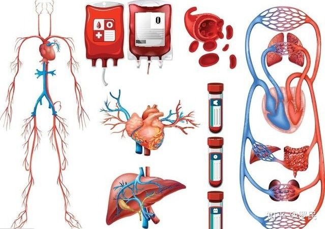 胸闷气短上不来气怎么解决,遇到冷空气就胸闷气短上不来气