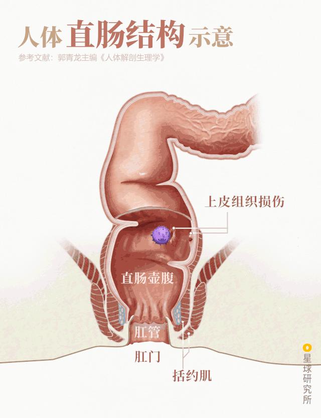 感染病毒后的168小时，你的体内都发生了什么？