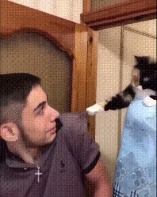 千万别惹俄罗斯猫，真实吓尿了