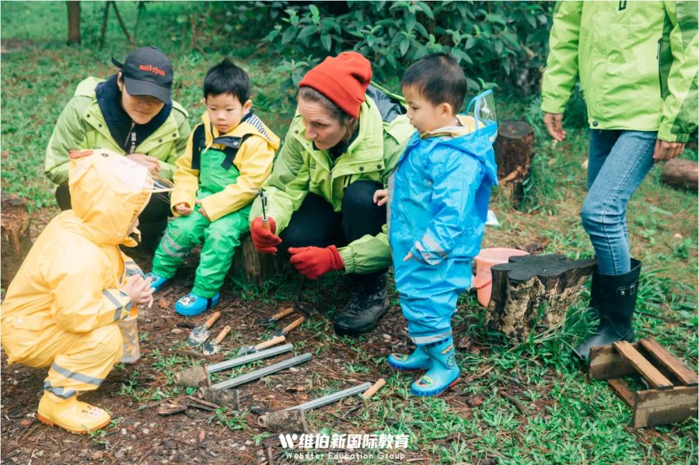 维伯教育可靠吗,维伯教育是什么