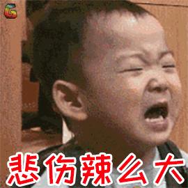3条狗啃坏“宝马”，1万多元才能修好！狗的主人找不到，保险也不赔，咋办？