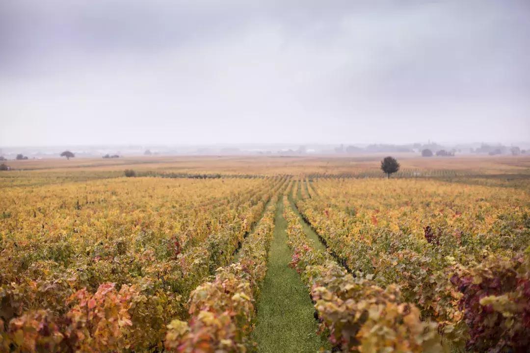 师者当以德行于天下,师者当严慈相济