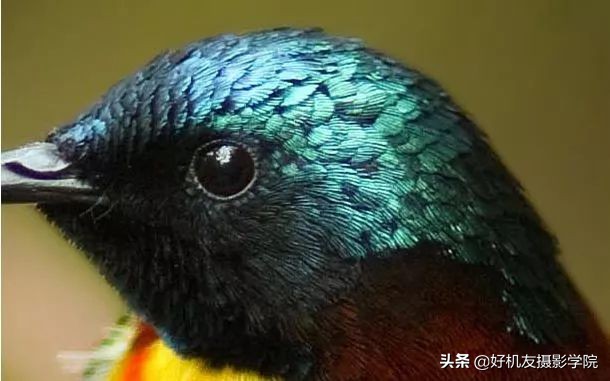 照片灰蒙蒙的怎么拍,照片灰蒙蒙的怎么变清新