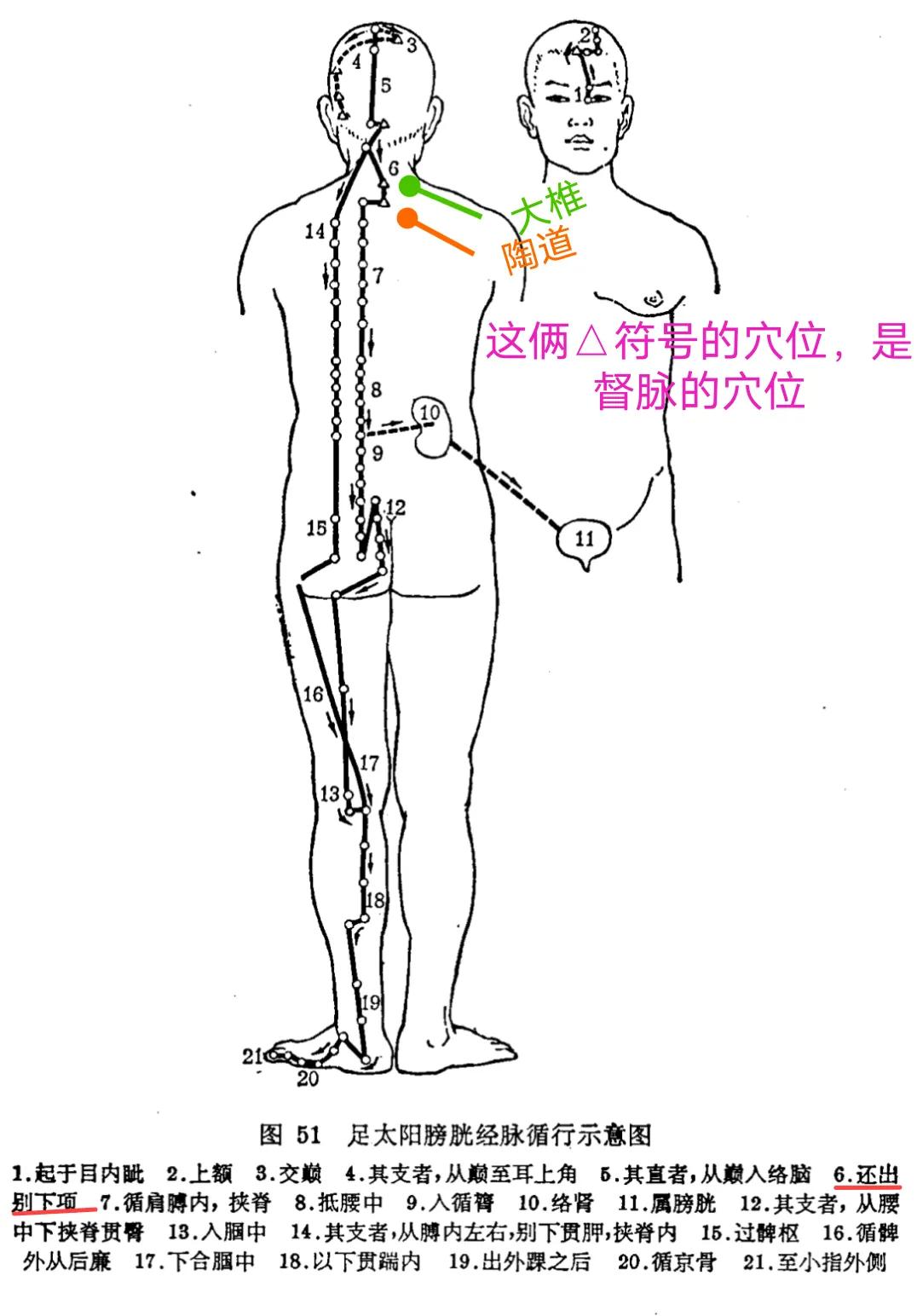 针灸16集视频,针灸第十六集