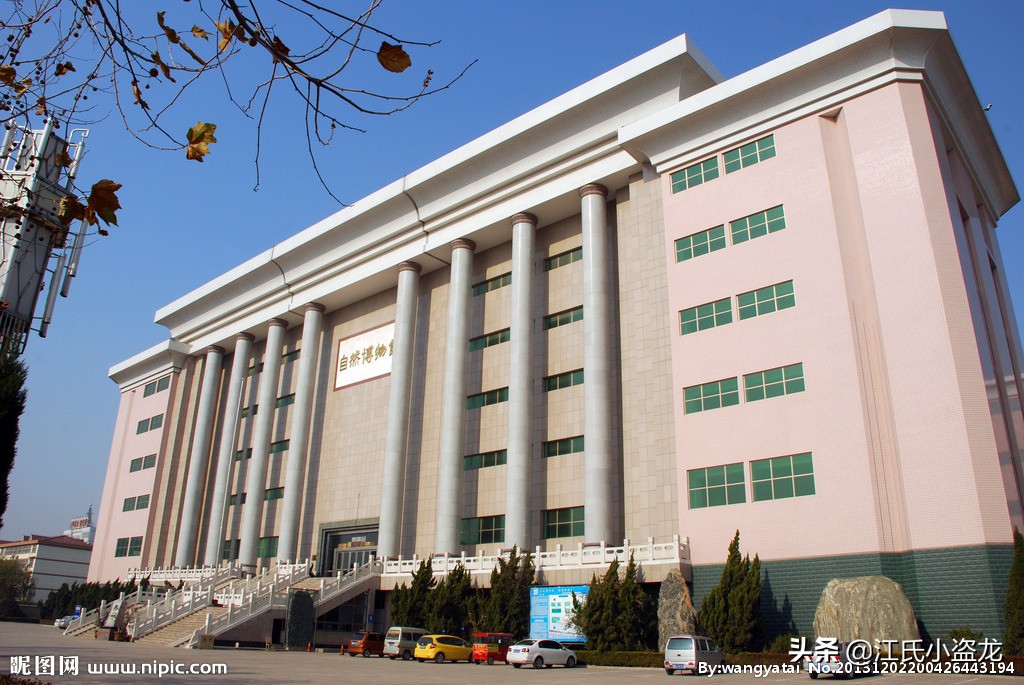 中国科学家揭秘恐龙皮肤化石,科学家用恐龙化石克隆出一只恐龙