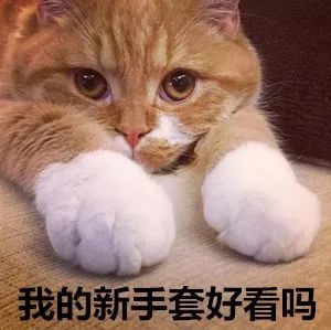 别花冤枉钱！冬天娃的帽子、围巾、袜子要这么选