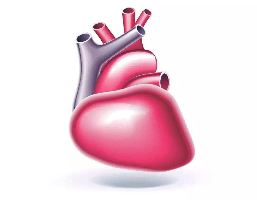 北京天坛医院脑病科,北京天坛医院昏迷病人促醒治疗