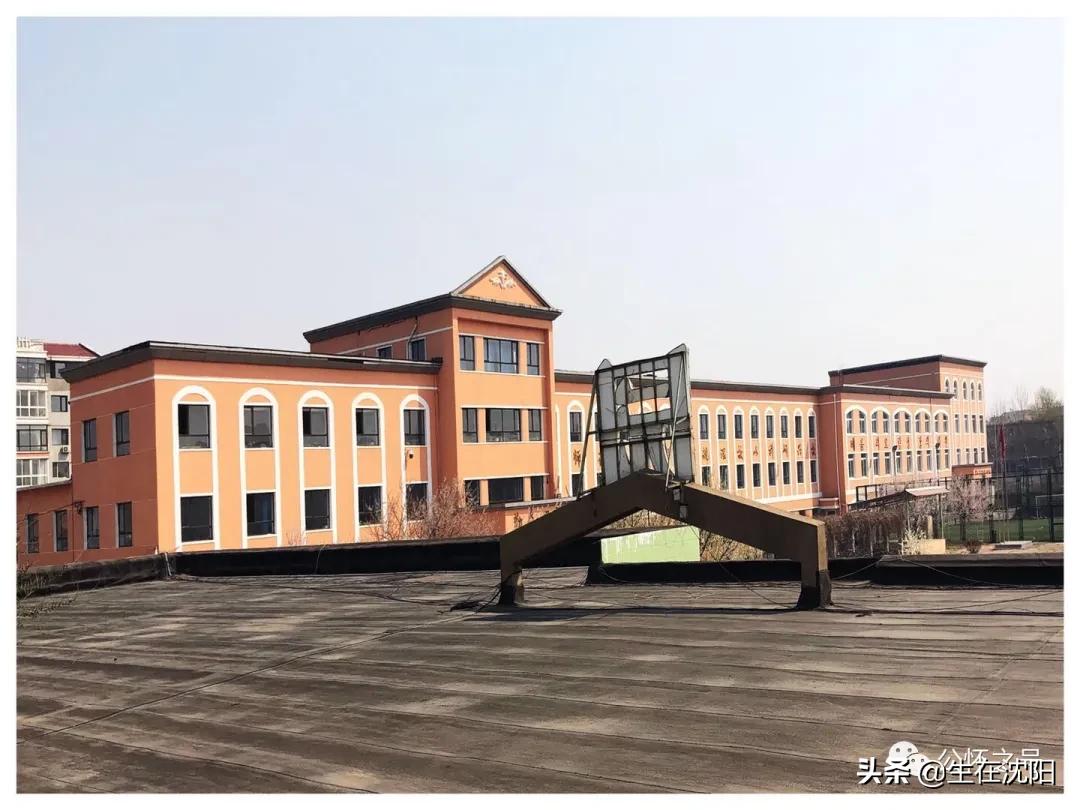 沈阳兴华实验学校回忆,沈阳回忆童年