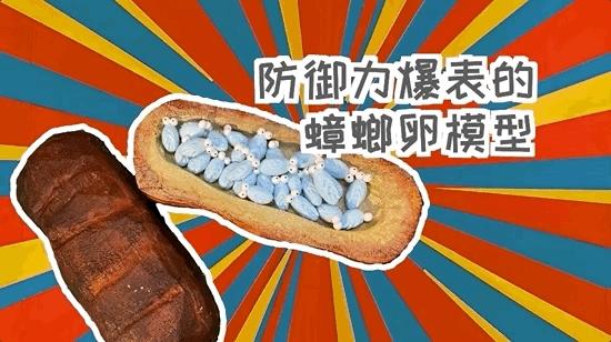 如何灭绝室内蟑螂虫卵,消除老房子蟑螂的方法