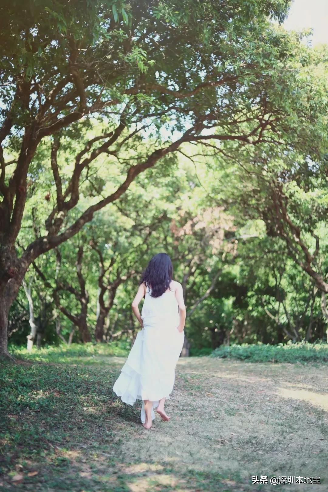 深圳100个免费景点,深圳免费100个景点