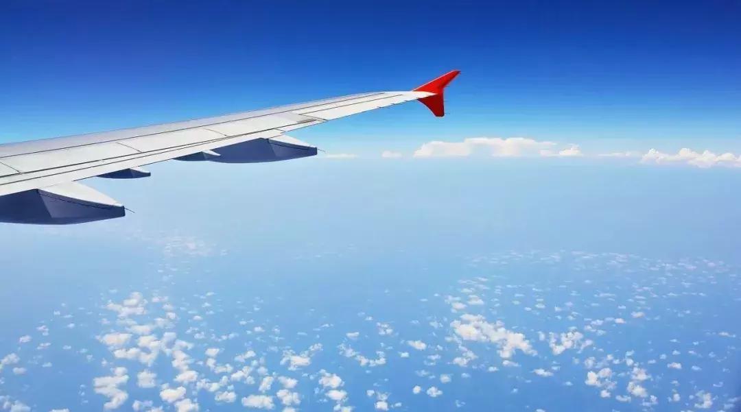 100个奇葩旅行冷知识,80个冷知识视频讲解大全