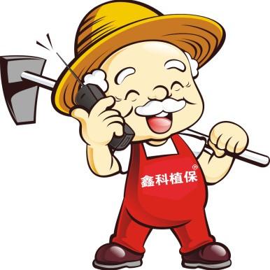 三七等中草药根腐病的病害症状及防治措施