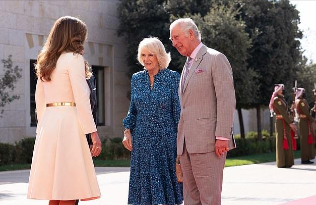 卡米拉佩戴戴安娜胸针惹非议 (卡米拉穿丝绒长裙)