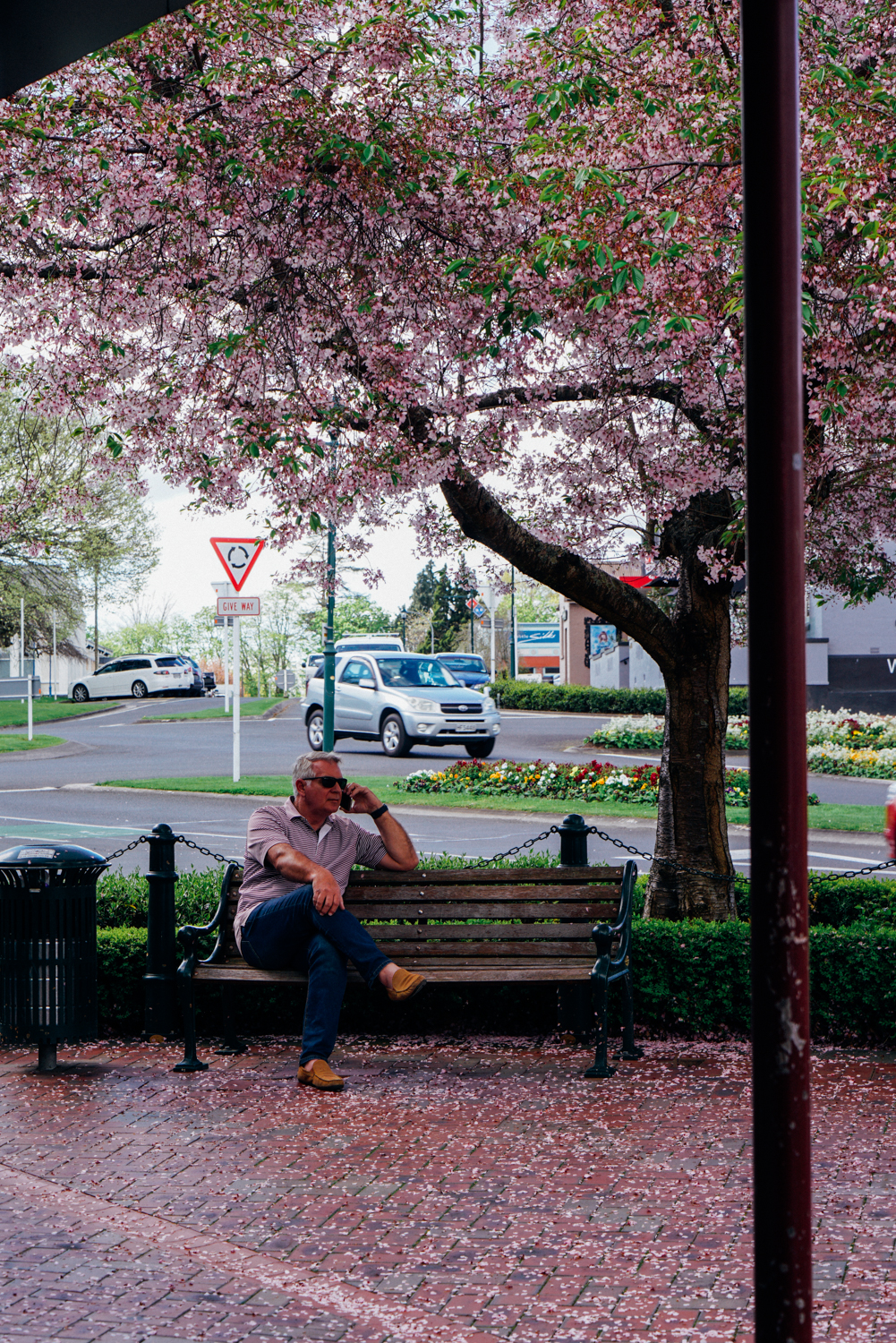 为什么说新西兰是纯净的,新西兰北岛有值得去的地方吗