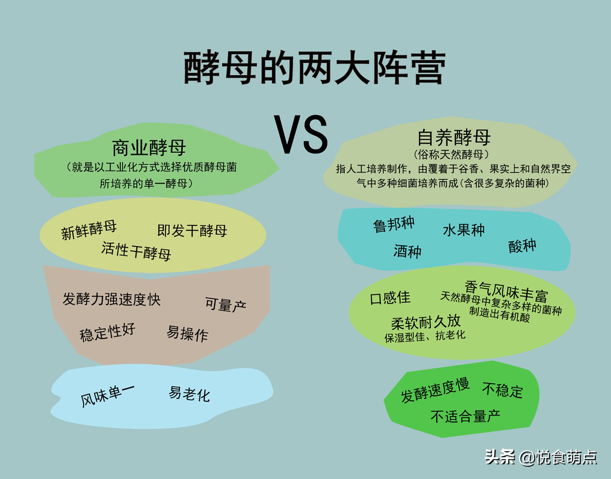 怎样知道酵母是有效的,原来有这么多种酵母你都了解了吗
