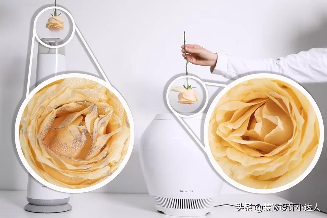 新家必备实用电器,家里哪些电器很实用