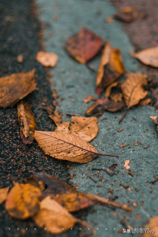 韩国旅游不可错过的景点,韩国不能错过的3部电影